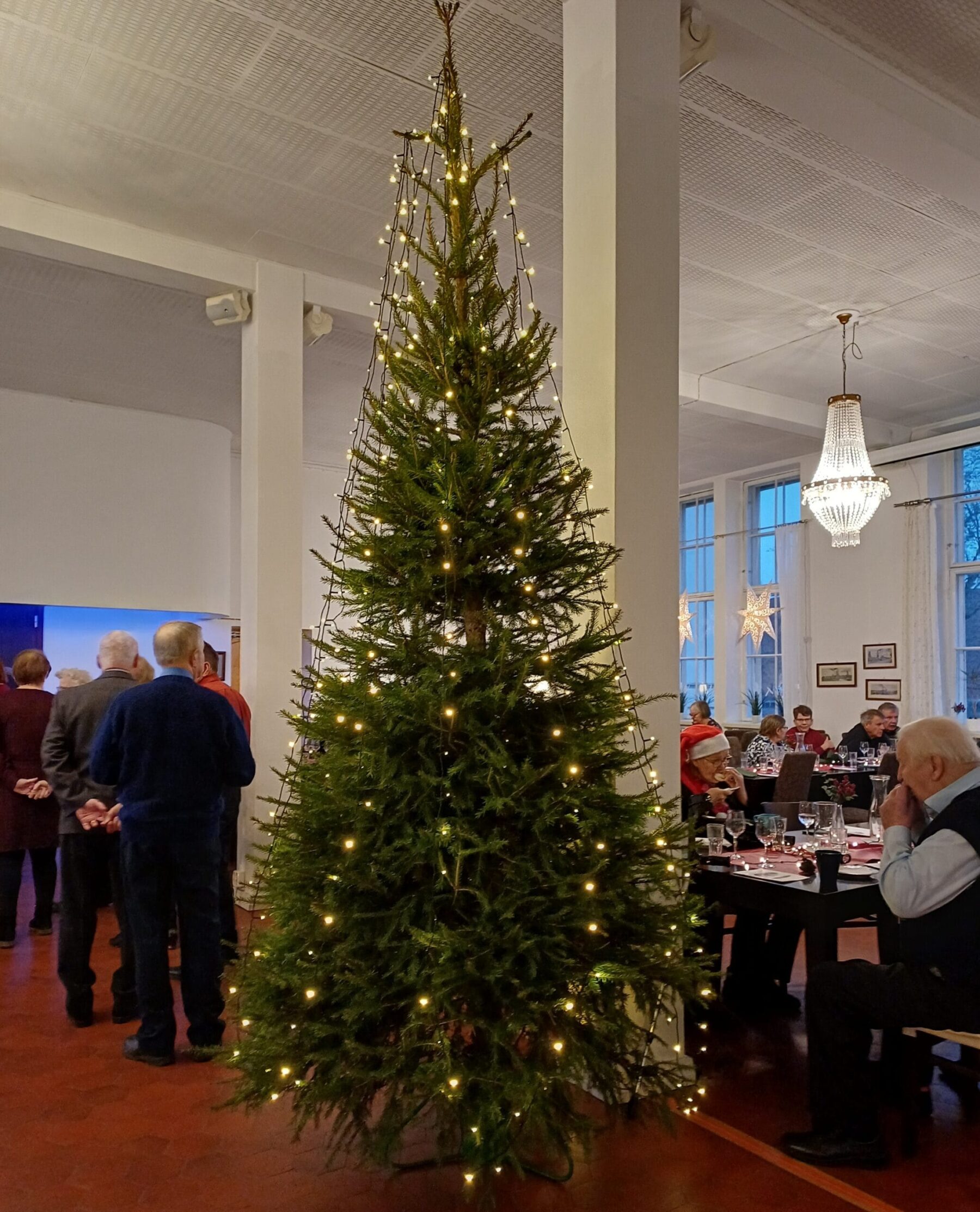 Kaunis joulukuusi